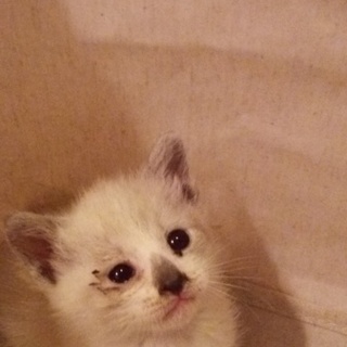 お母さんいなくなっちゃった