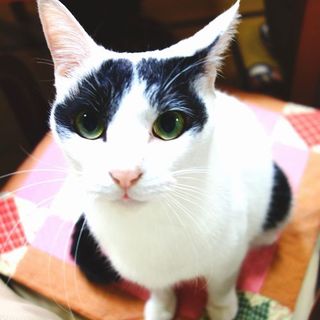 ★1人っ子希望！おっとり王子ま～ちゃん２号★