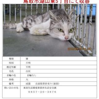 亡くなりました。お問い合わせ有り難うございました。