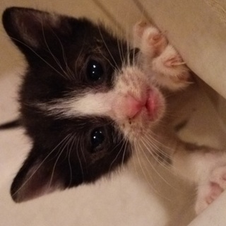 お母さんどこか行っちゃった