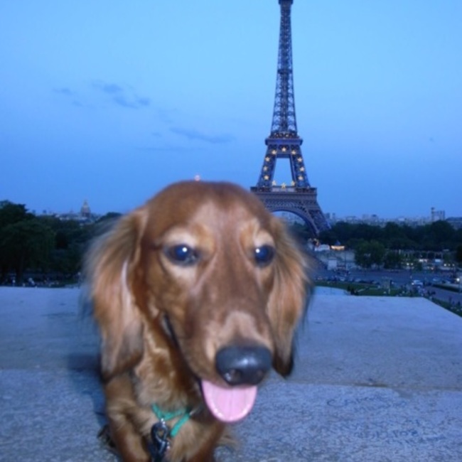 yuji1202のカバー写真