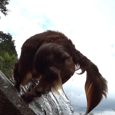 KILLA（キラ）の写真