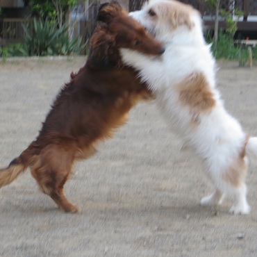 KILLA（キラ）の写真