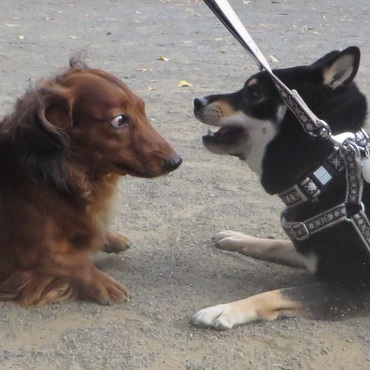 KILLA（キラ）の写真