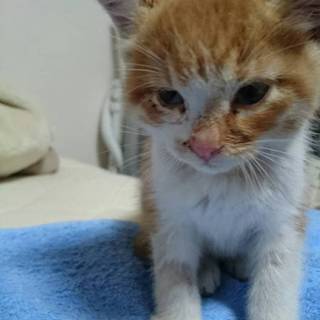 里親様が決定しました^^