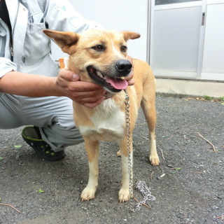 親子で収容されています。この子を助けてください