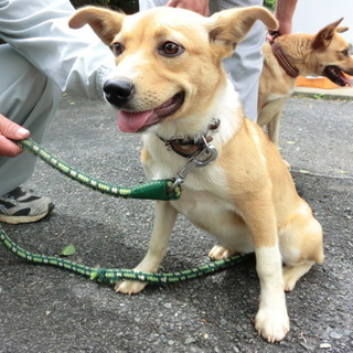 親子で収容されています。この子を助けてください