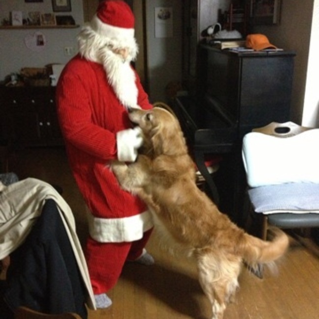 Dog and Childのカバー写真