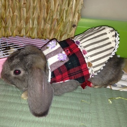 「準備準備」サムネイル1