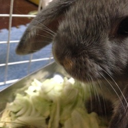 「準備準備」サムネイル3