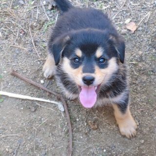 …家族の迎えていただけませんか…231男の子