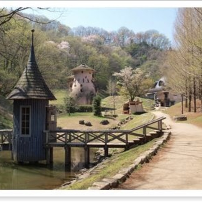 太田理美のカバー写真