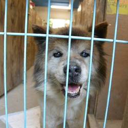 5/11に引き出された太郎です