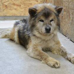 「5/11に引き出された太郎です」サムネイル2