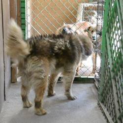 「5/11に引き出された太郎です」サムネイル3