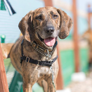 アメリカンなリアクション！コメディアンビール