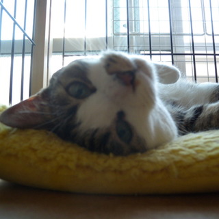 運命の人に会うために！生還してきたまぁる