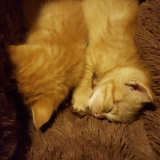 無邪気な女の子と、ちょっとビビりな男の子