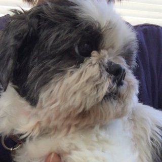 仮名：双葉　　人が大好き