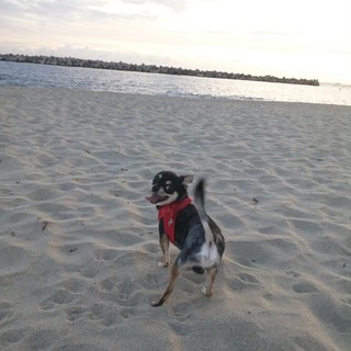 ぁりがとぅござぃました！