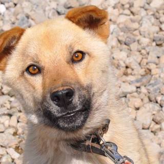 小顔のこうじろう君☆