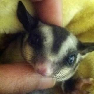 たくさん応募頂きありがとうございました。