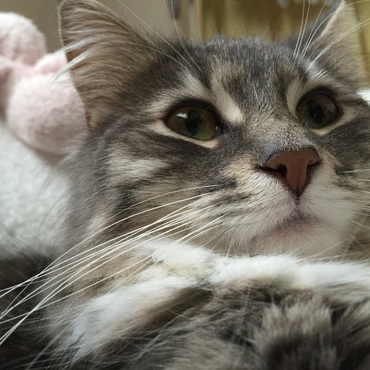 びっくりした顔？