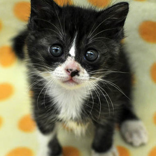 将来は鼻黒★愛梨ちゃん