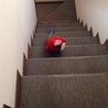 の写真