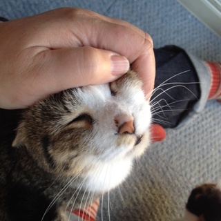 フミフミ甘えん坊、ふみ子！