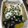 の写真