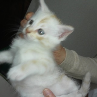 とても、素敵な家族が見つかりました。