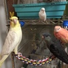 ミーティング中