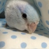 の写真