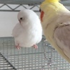 の写真