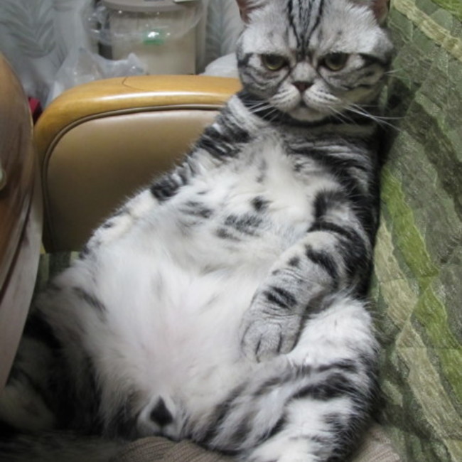 amkamのカバー写真