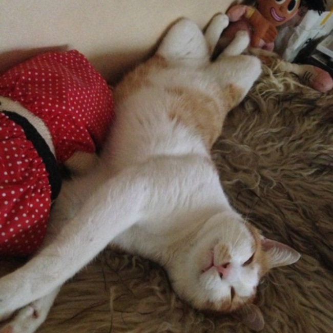 tango0046のカバー写真