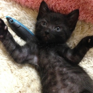 おうてか君☆男の子1ヶ月と少し