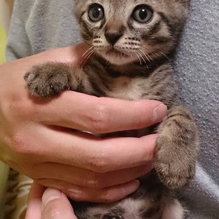 「面談予定」女の子みたいキュートな「クリムト」くん