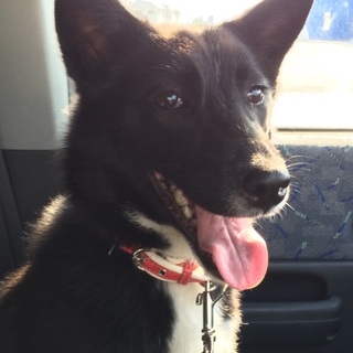 のあちゃん♡1歳女の子♫