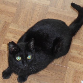 心を開くまでお待ちくださいますか？