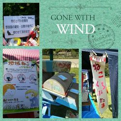 「晴れるかな？５月２４日（日）譲渡会＆フリマ」サムネイル1