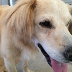 ずっといてね( ^ω^ )