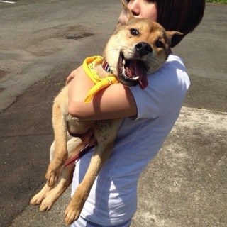 無事譲渡されたそうです！！