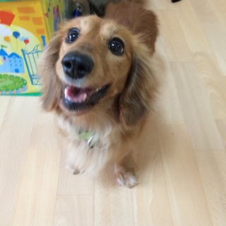 よろしくお願い致します