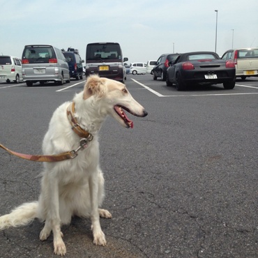 今日はパパと茨城までお出かけ。