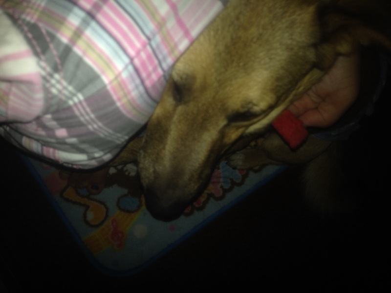 磨きのかかった泥棒ヒゲ太郎11ヶ月 サムネイル4