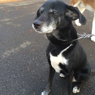 良いご縁がありました。