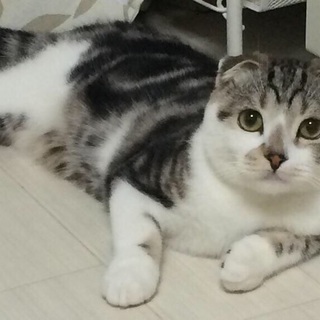 ありがとうございました