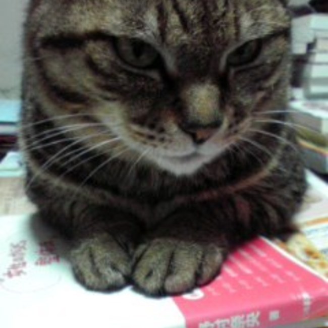 ピーシーのカバー写真